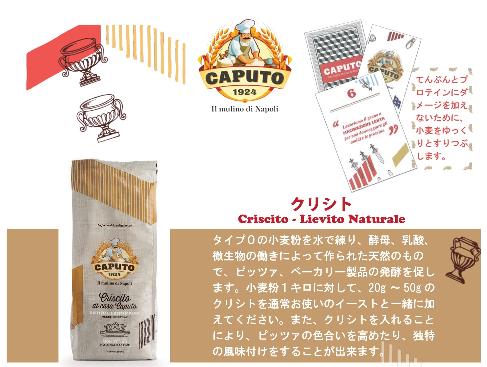 ｶﾌﾟｰﾄ ｸﾘｼﾄ粉1kg（ﾓﾝﾃｺｰﾄﾞ5269） 亀屋食品（株）食材注文サイト