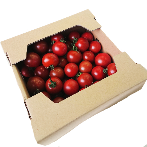大分県産 和郷フルーツトマト玄 1kg