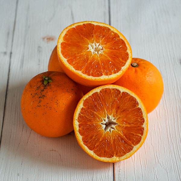 愛媛産タロッコオレンジ 約1kg 8個　サイズS～2L MiX　次回4/3