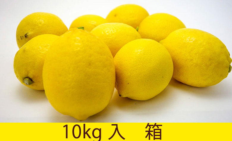 10kg箱特価 瀬戸内完熟レモン10kg箱低農薬栽培