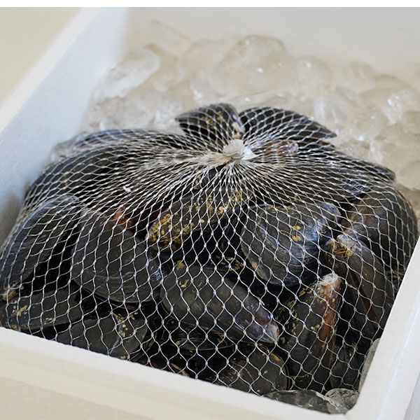 予約)カナダ産フレッシュムール貝2.27kg限定 4/3出荷分で休売 次回秋頃